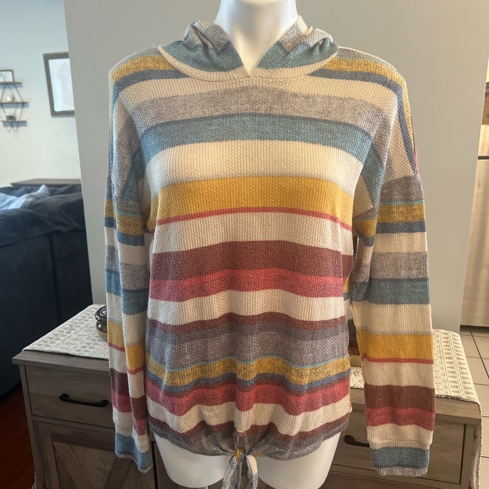 Signature studio multicolor striped hooded top